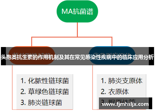 头孢类抗生素的作用机制及其在常见感染性疾病中的临床应用分析