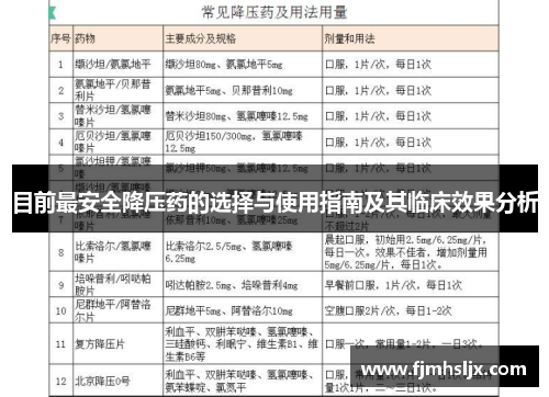 目前最安全降压药的选择与使用指南及其临床效果分析